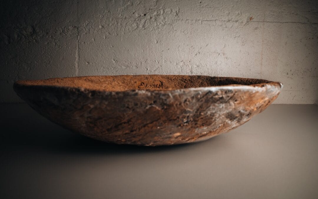 Le Guide Ultime des Pots Bonsaï Canada : Où Acheter et Que Choisir